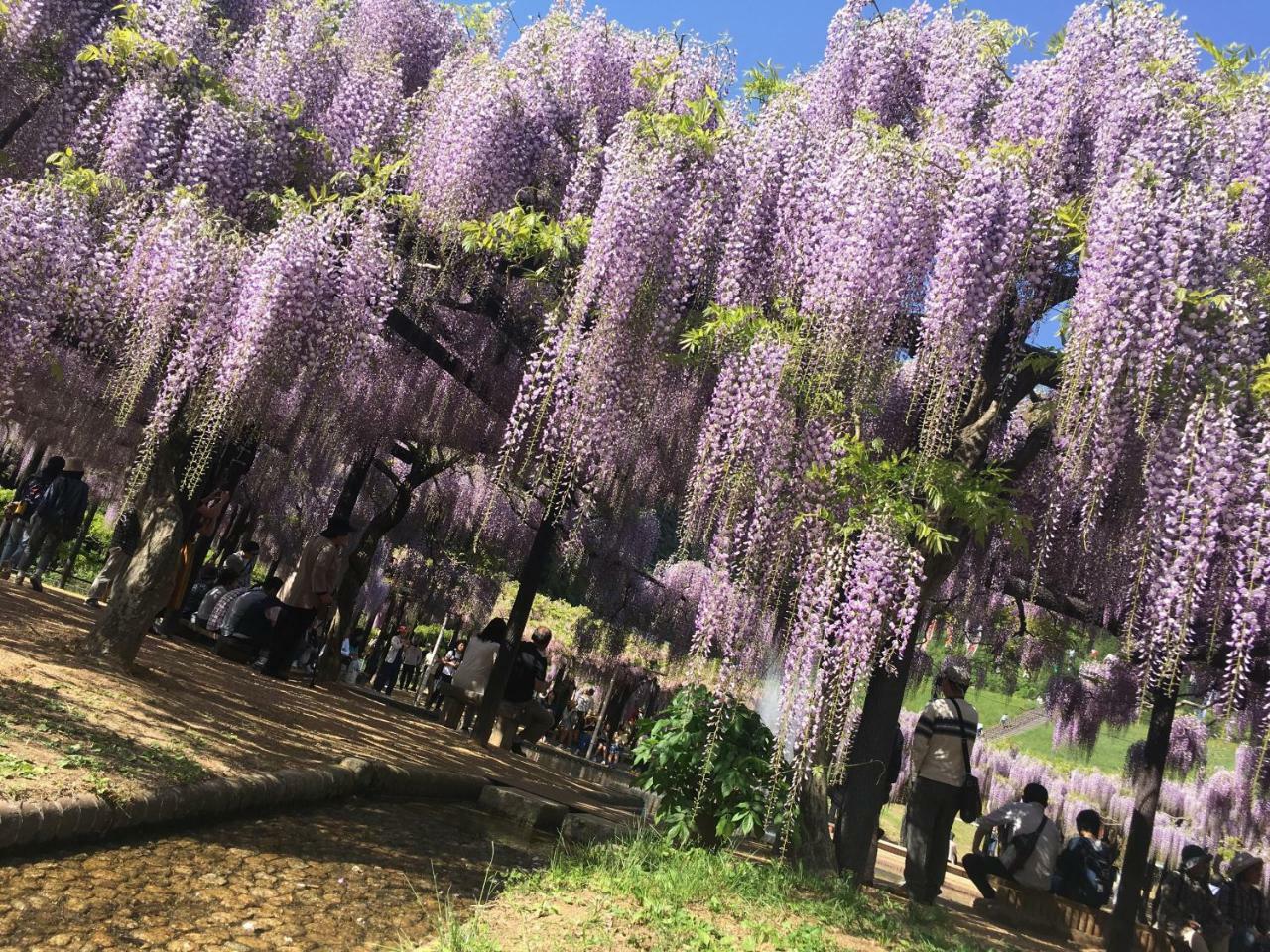 ホテル 群鶴亭 朝来市 エクステリア 写真